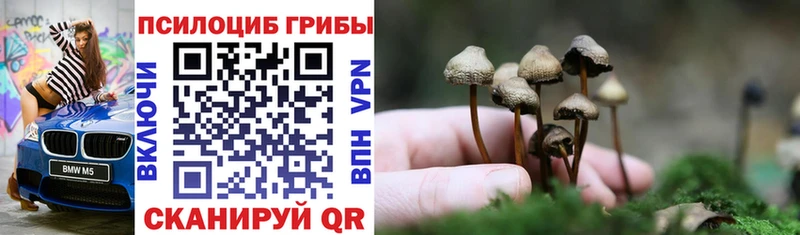 Псилоцибиновые грибы GOLDEN TEACHER  Купить  Каменск-Уральский 